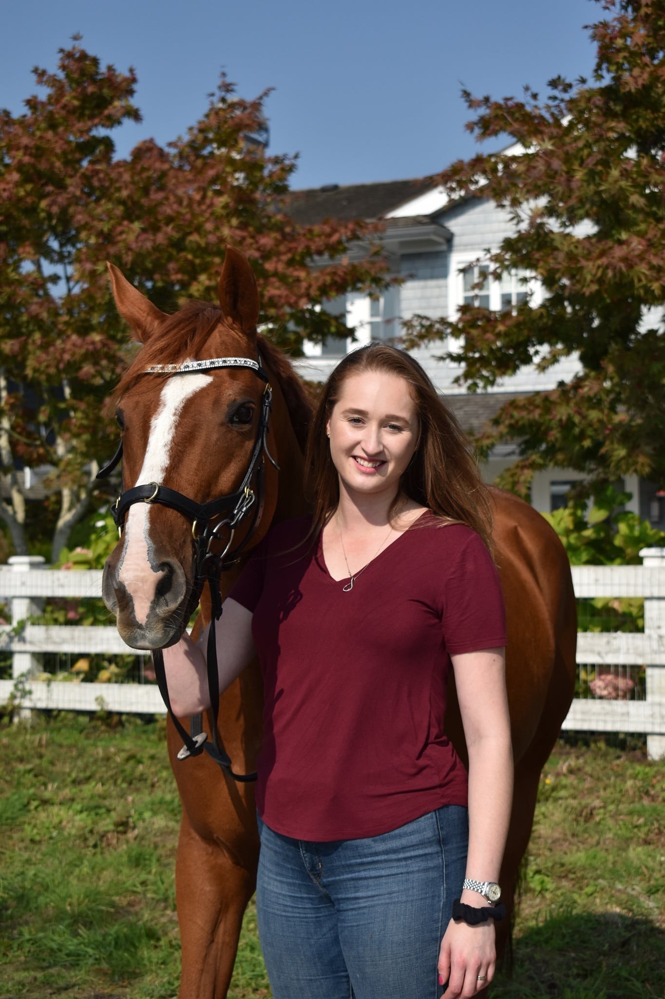 carousel-hero-element image-0