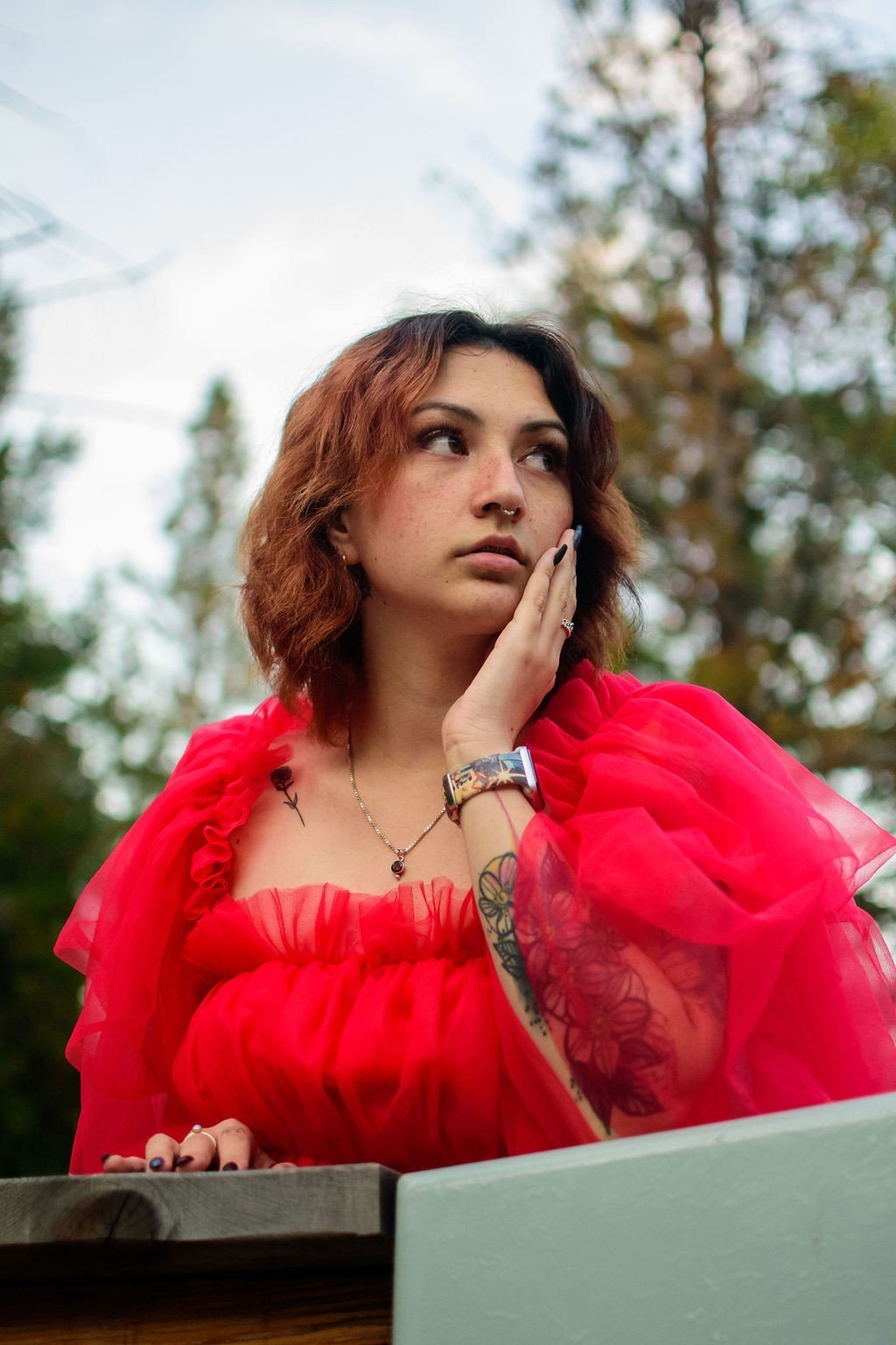 carousel-hero-element image-2