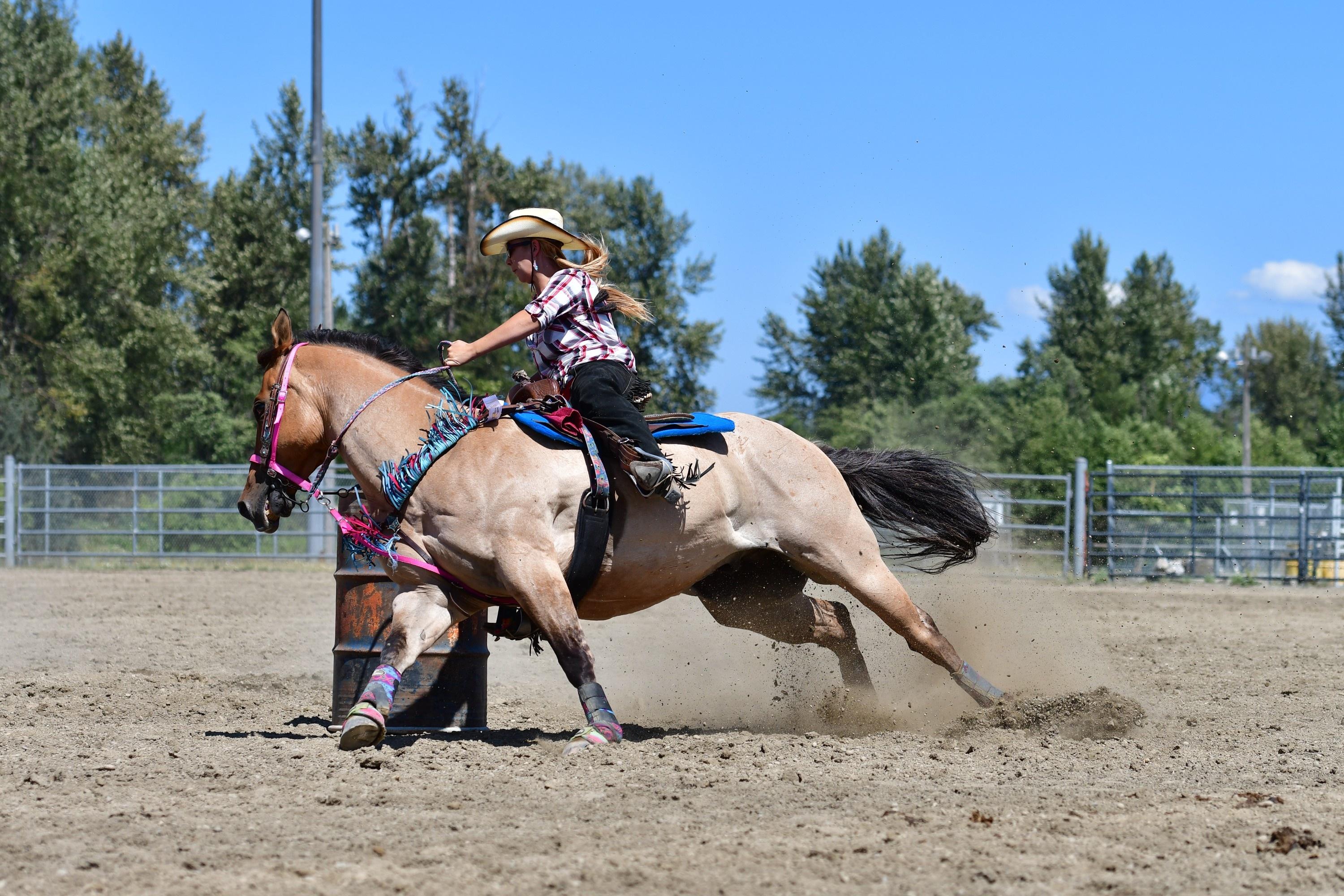 carousel-hero-element image-2