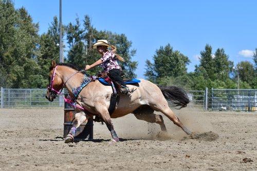 carousel-hero-element image-2